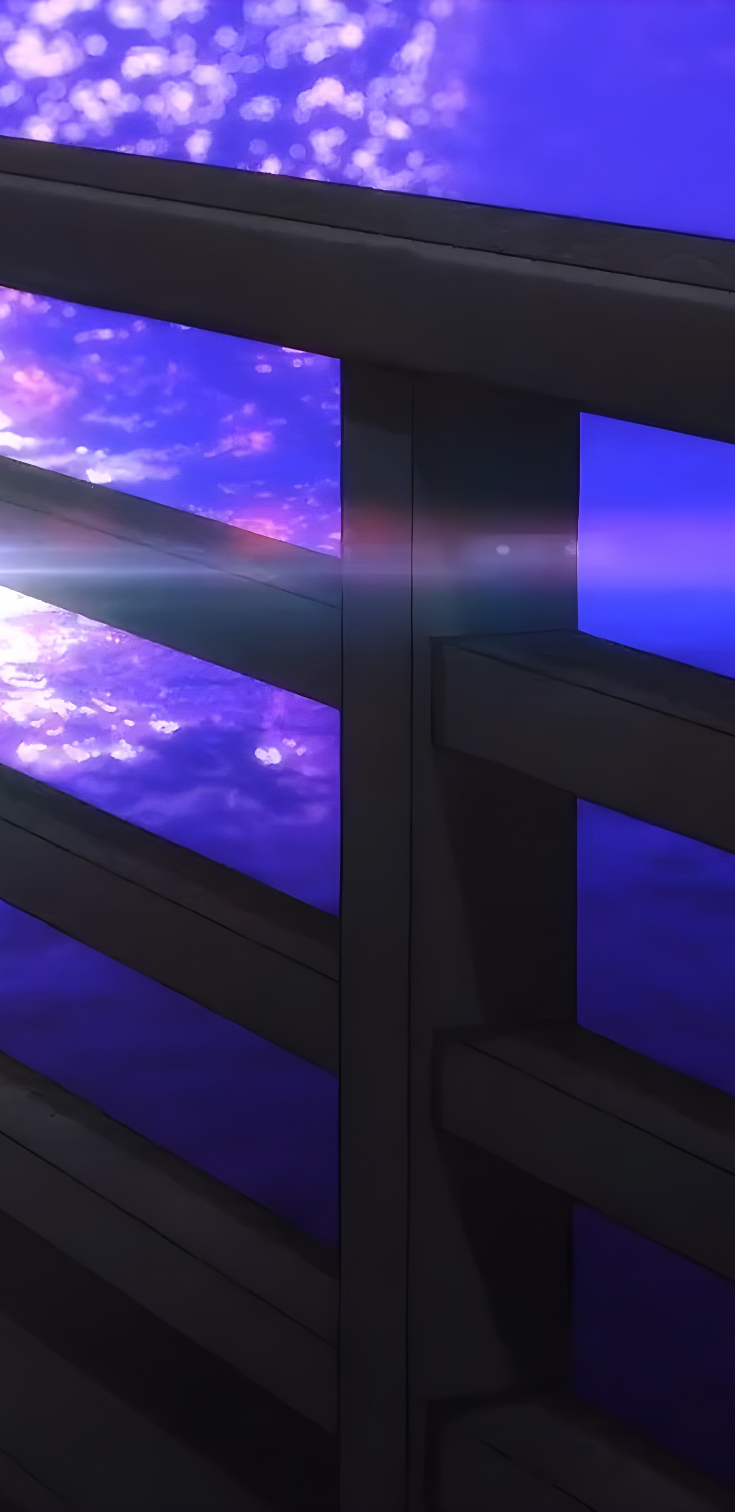 Обои свет, освещение, освещение аквариума, наука, вода в разрешении 1440x2960