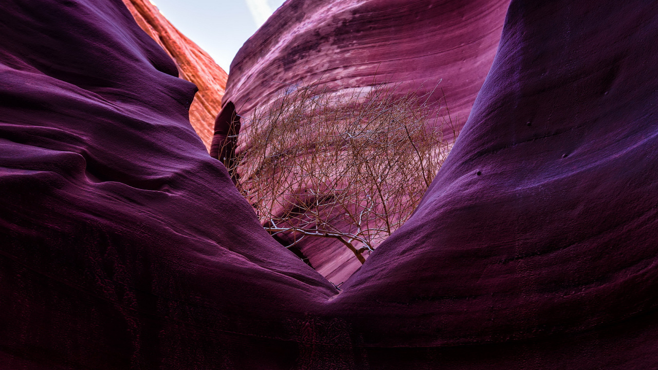 Обои каньон, каньон антилопы, природа, пурпур, Фиолетовый в разрешении 1280x720