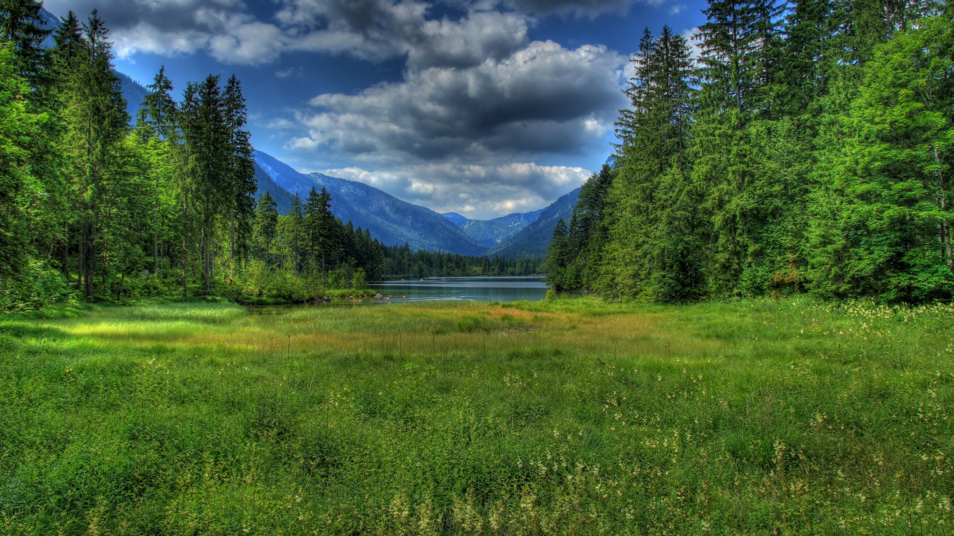 Обои природа, дикая местность, луг, дерево, пейзажи гор в разрешении 1366x768