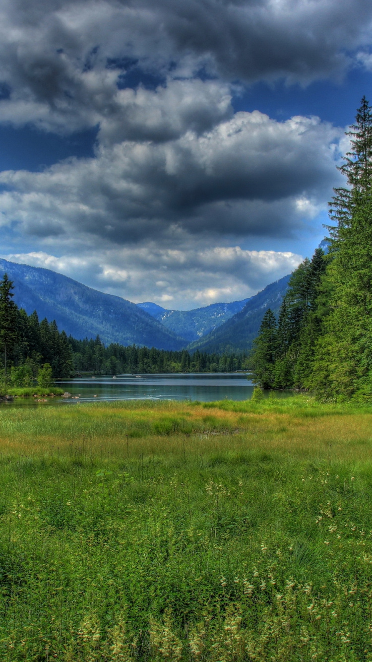 Обои природа, дикая местность, луг, дерево, пейзажи гор в разрешении 750x1334