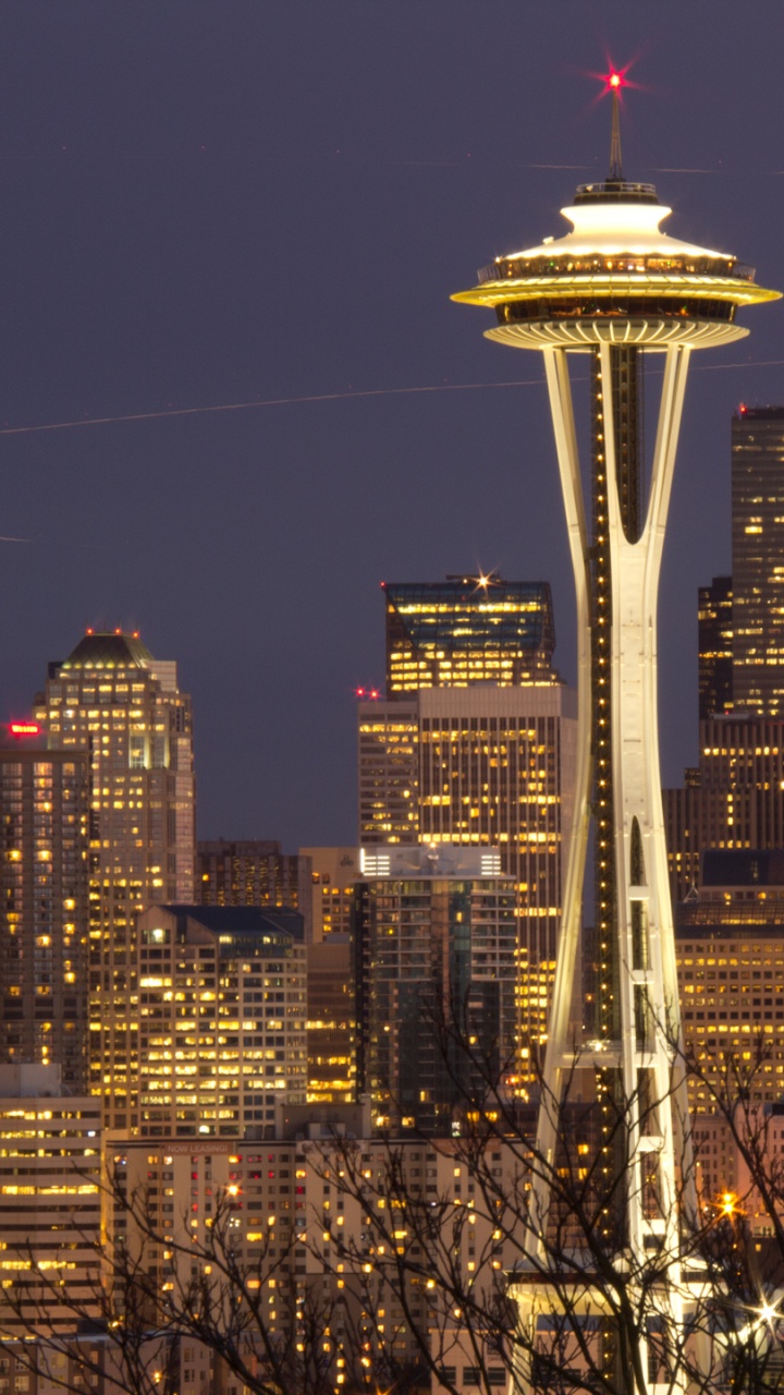 Обои Сиэтл, космическая игла, город, городской пейзаж, линия горизонта в разрешении 720x1280