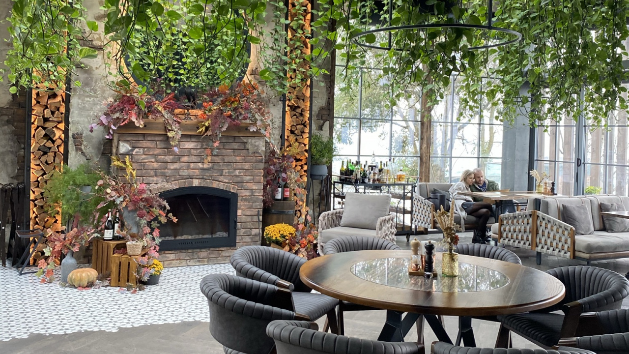 Обои таблица, патио, биология, мебель, кофейный столик в разрешении 1280x720