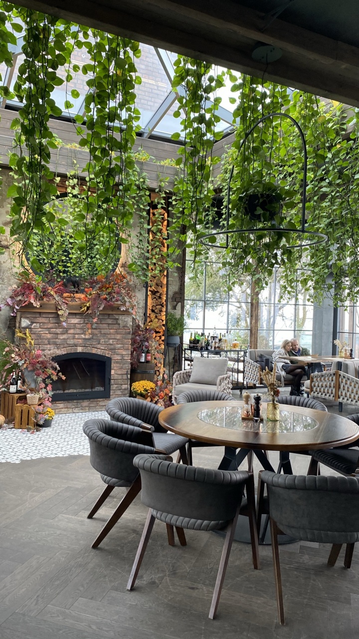 Обои таблица, патио, биология, мебель, кофейный столик в разрешении 720x1280