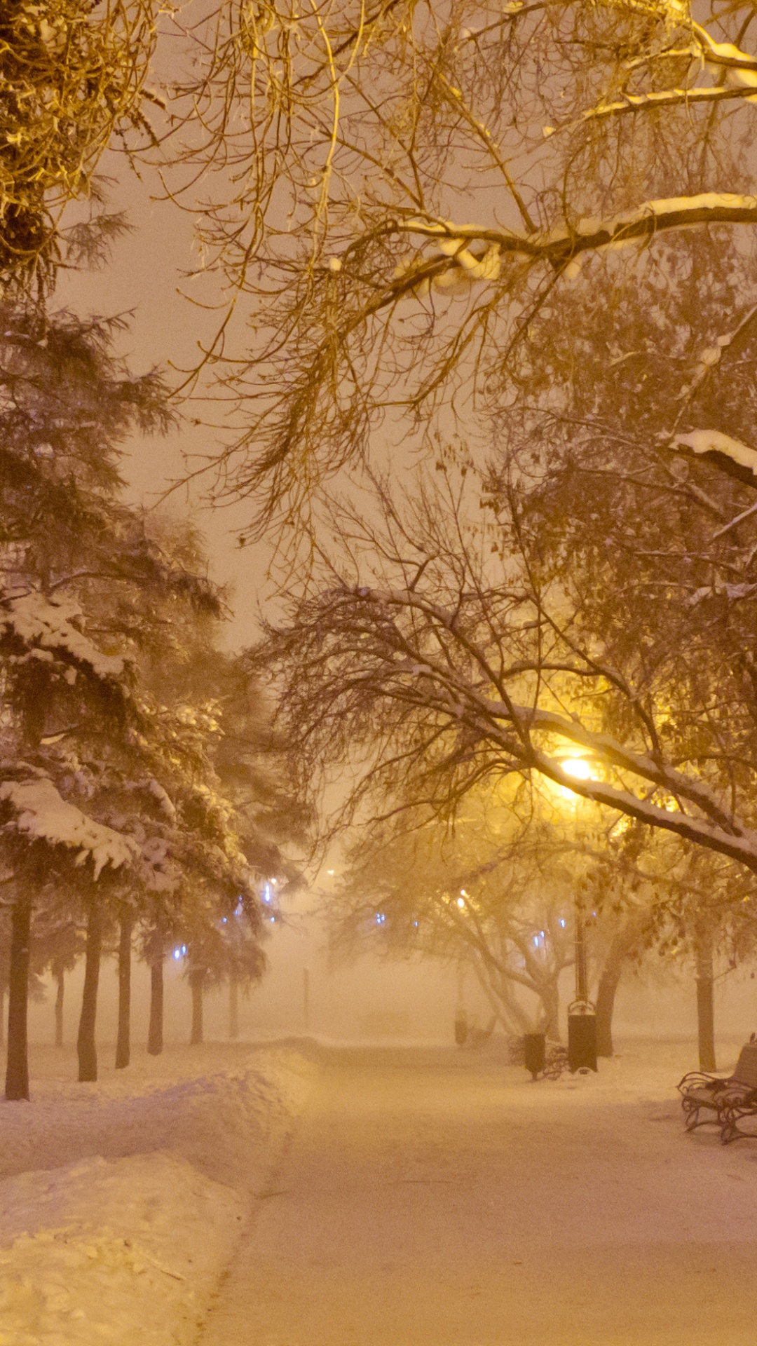 Обои снег, зима, природа, дерево, ветвь в разрешении 1080x1920