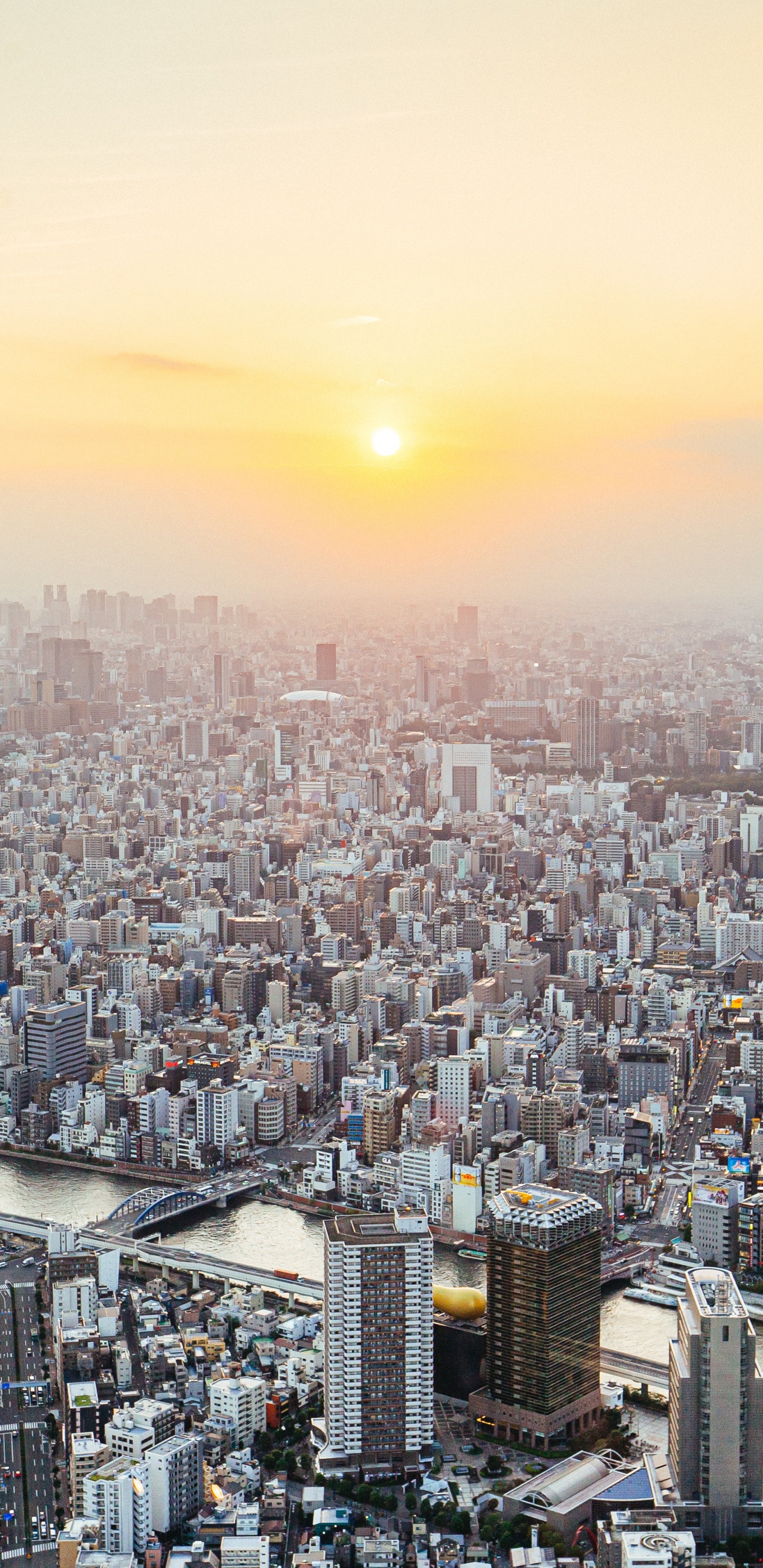 Обои город, городской пейзаж, городской район, метрополия, населенный пункт в разрешении 1440x2960