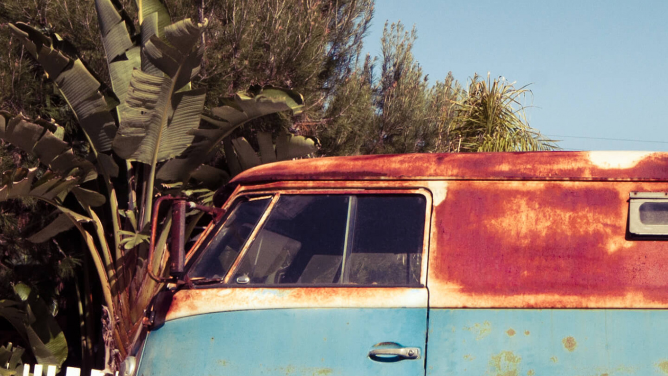 Обои дерево, шина, колесо, растение, дневное время в разрешении 1366x768