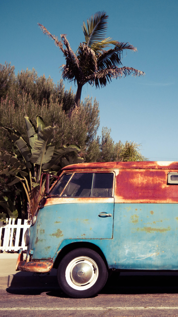 Обои дерево, шина, колесо, растение, дневное время в разрешении 750x1334