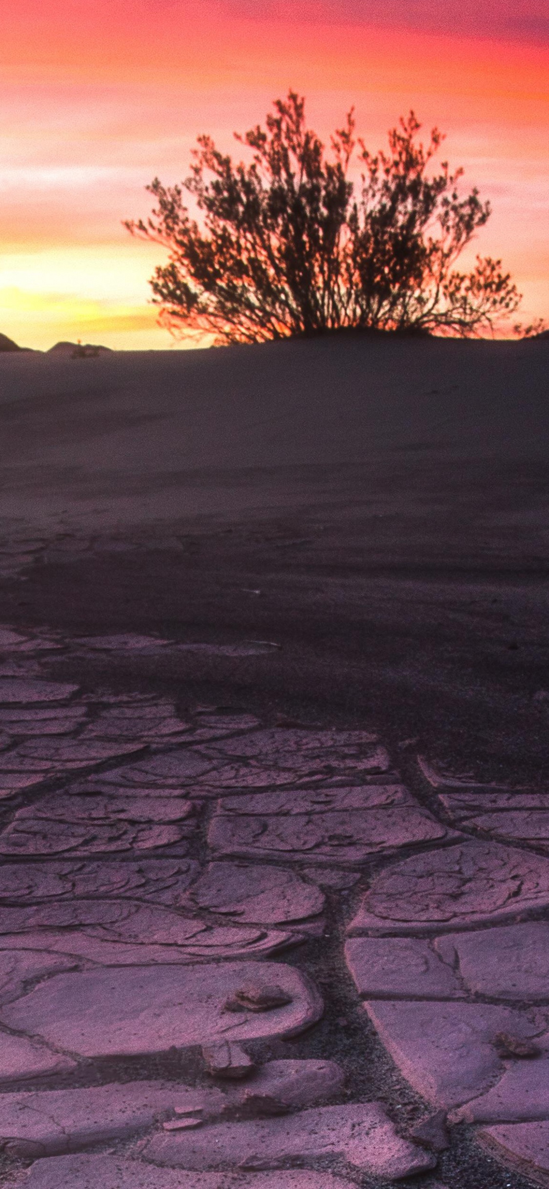 Обои природа, красный цвет, горизонт, небо, пустыня в разрешении 1125x2436