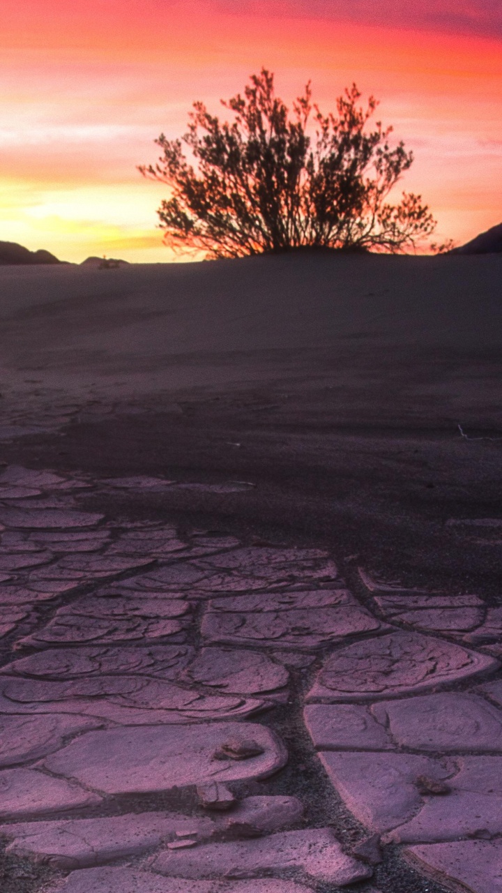 Обои природа, красный цвет, горизонт, небо, пустыня в разрешении 720x1280