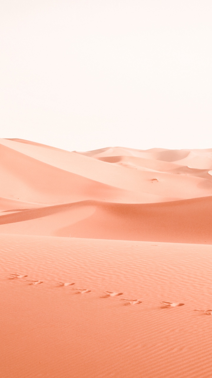 Обои персик, розовый, пустыня, эрг, песок в разрешении 720x1280