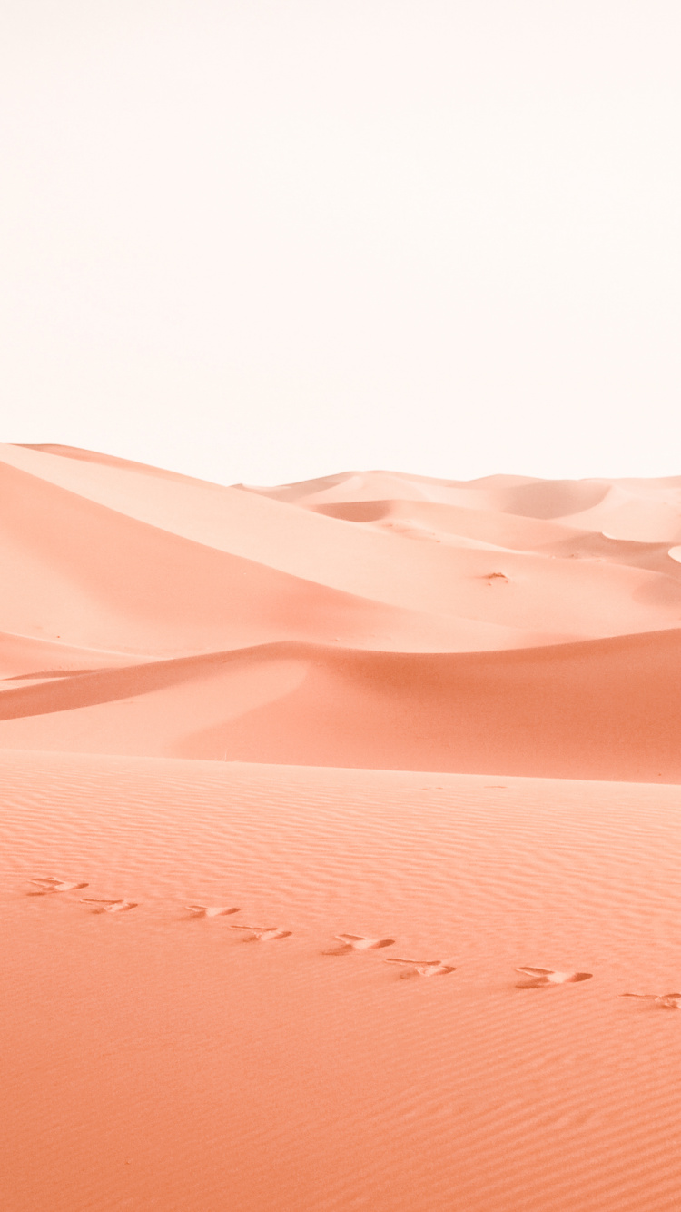 Обои персик, розовый, пустыня, эрг, песок в разрешении 750x1334