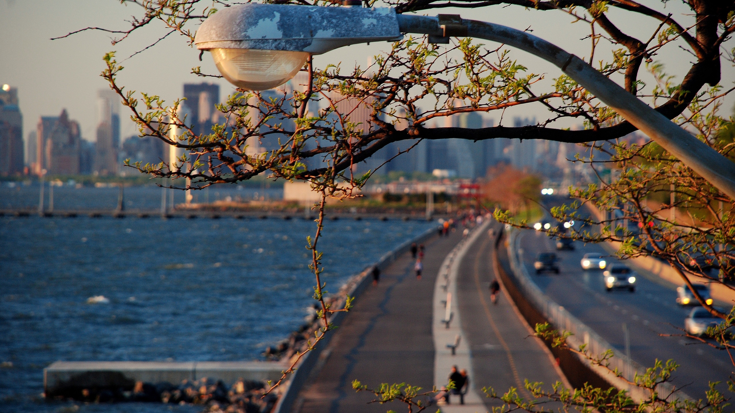 Обои город, дерево, ветвь, лист, городской район в разрешении 2560x1440