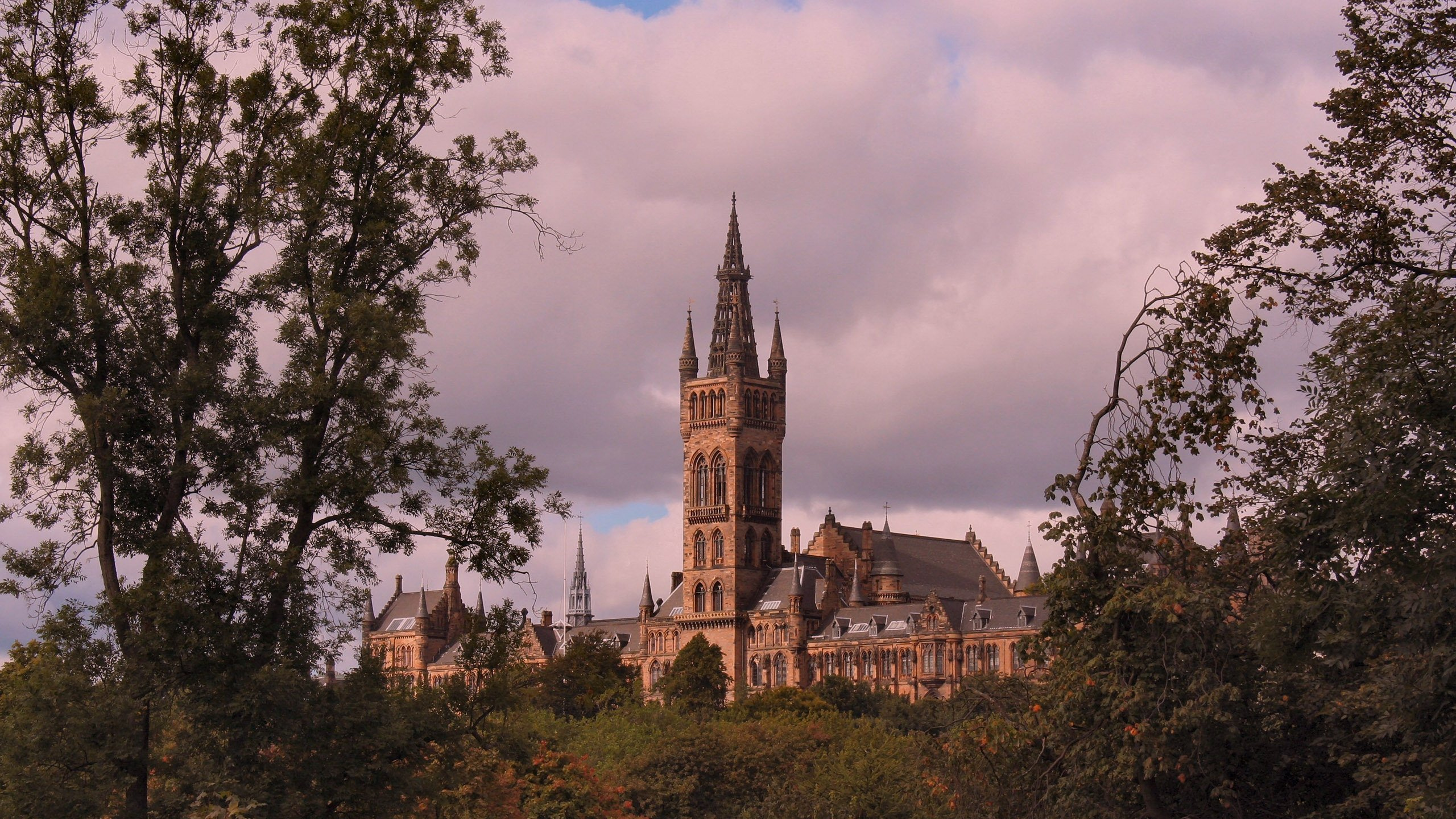 Обои университет Глазго, Джорджтаунский университет, Университет, ориентир, дерево в разрешении 2560x1440