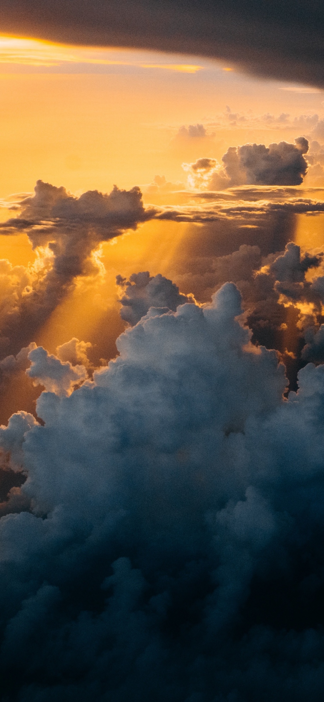 Обои apple, iPhone, iPhone X, яблоко, ios в разрешении 1125x2436