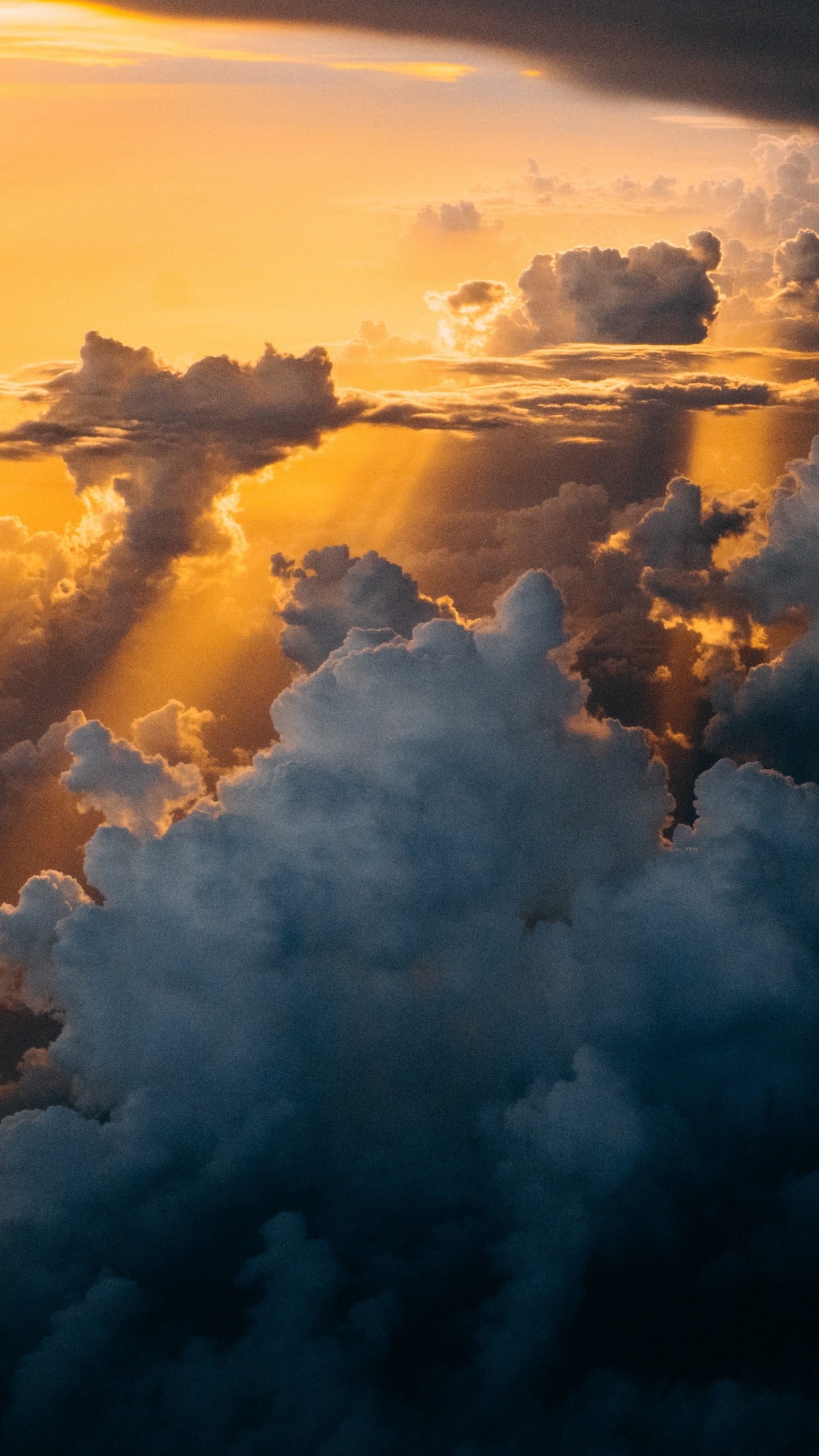 Обои apple, iPhone, iPhone X, яблоко, ios в разрешении 1440x2560