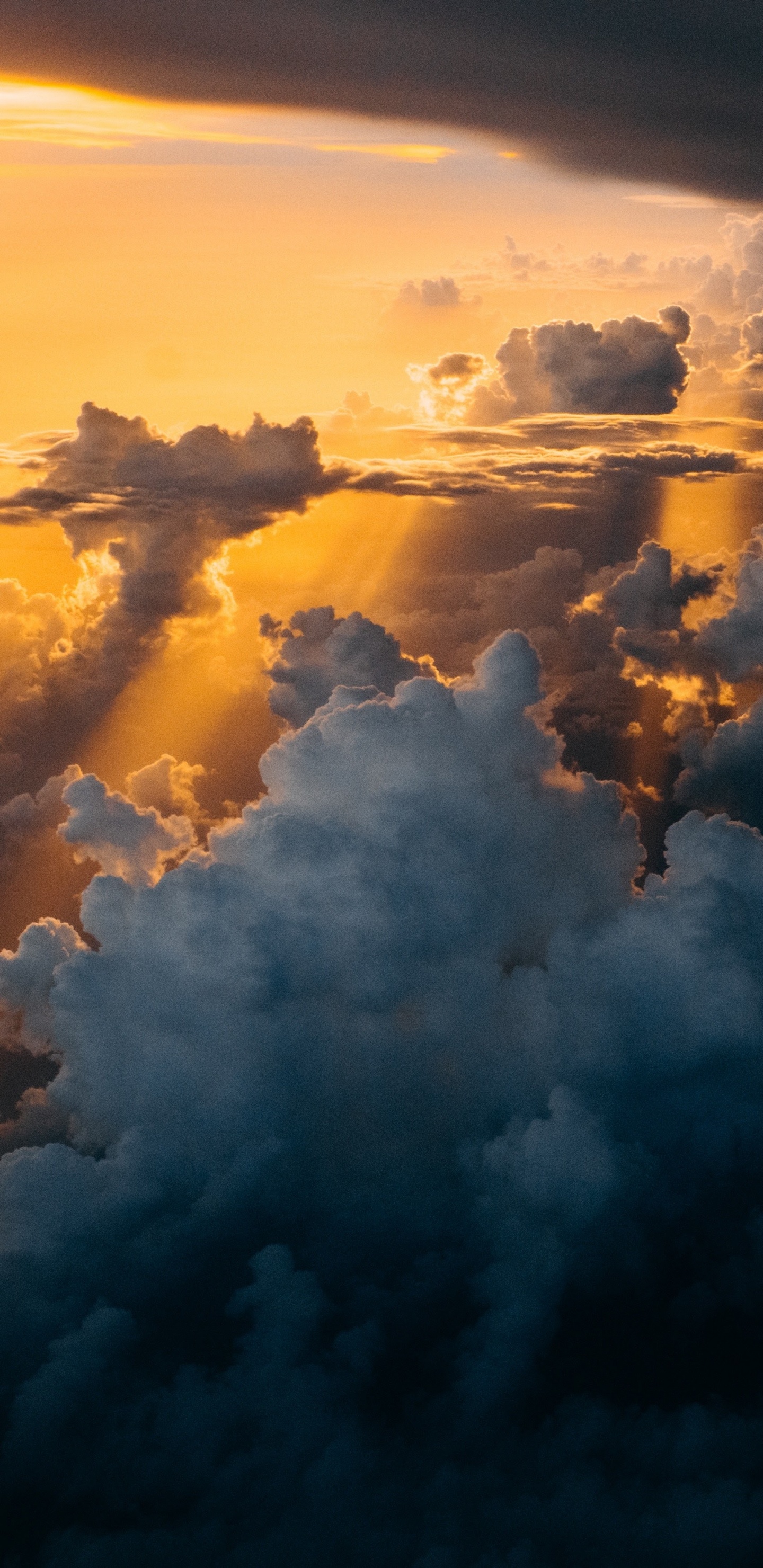 Обои apple, iPhone, iPhone X, яблоко, ios в разрешении 1440x2960