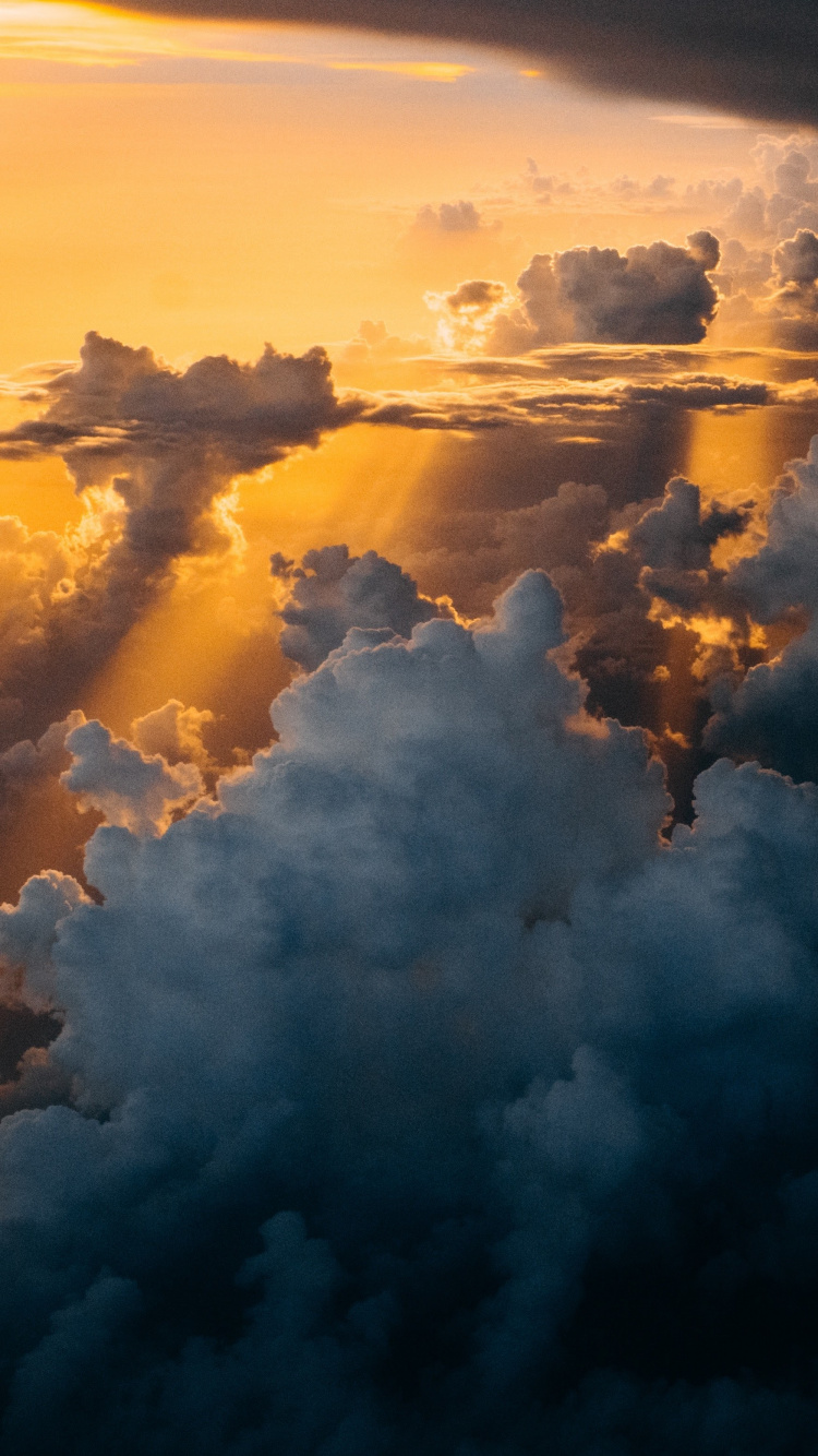 Обои apple, iPhone, iPhone X, яблоко, ios в разрешении 750x1334