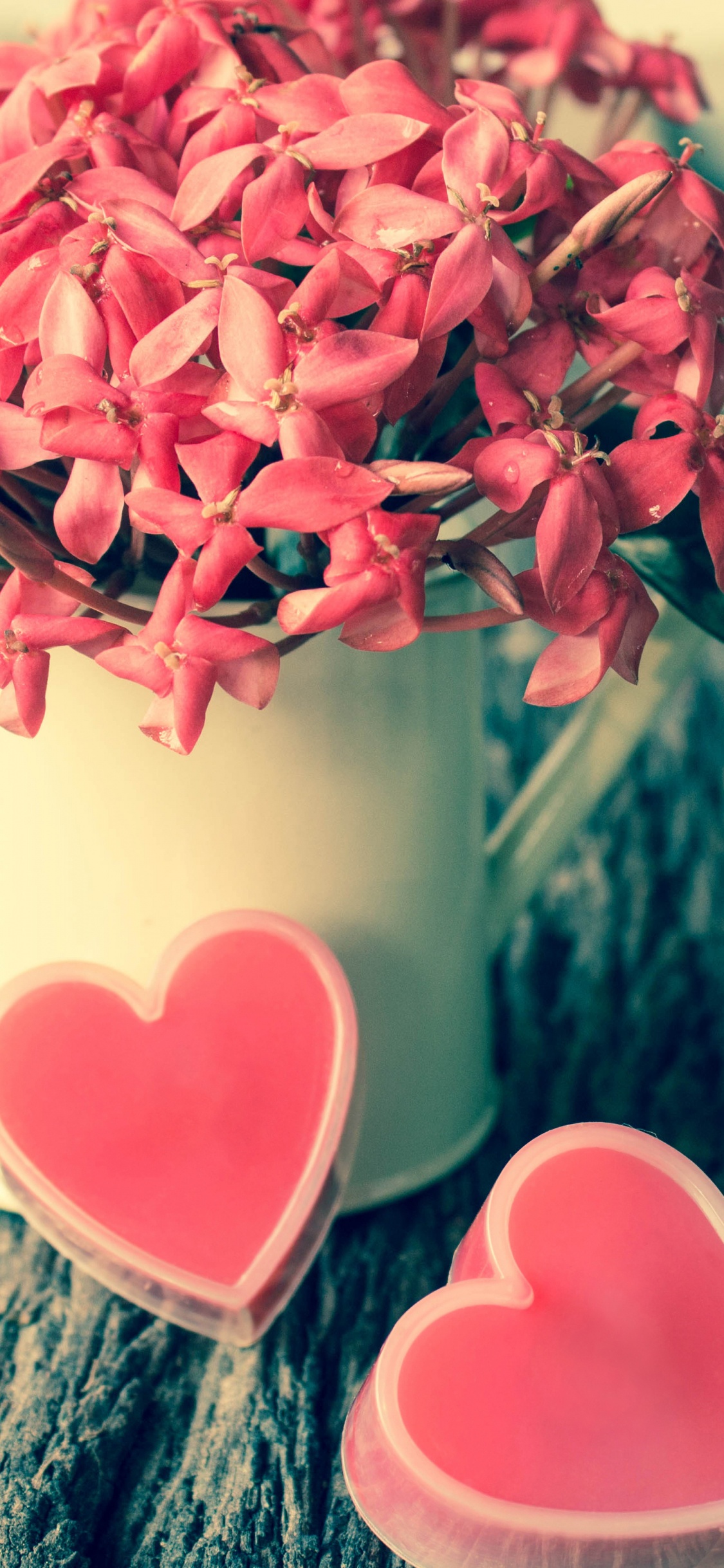 Обои День Святого Валентина, розовый, цветок, любовь, лепесток в разрешении 1125x2436