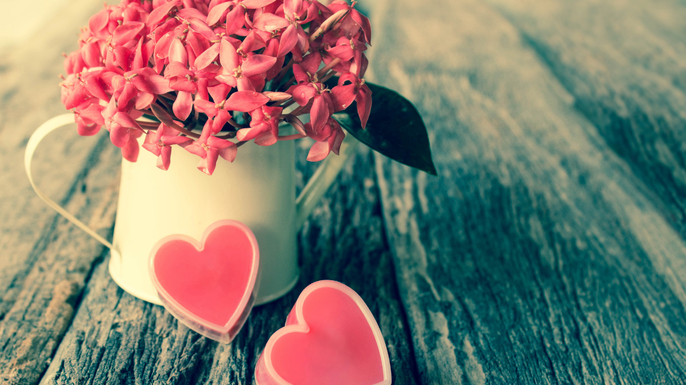 Обои День Святого Валентина, розовый, цветок, любовь, лепесток в разрешении 1366x768