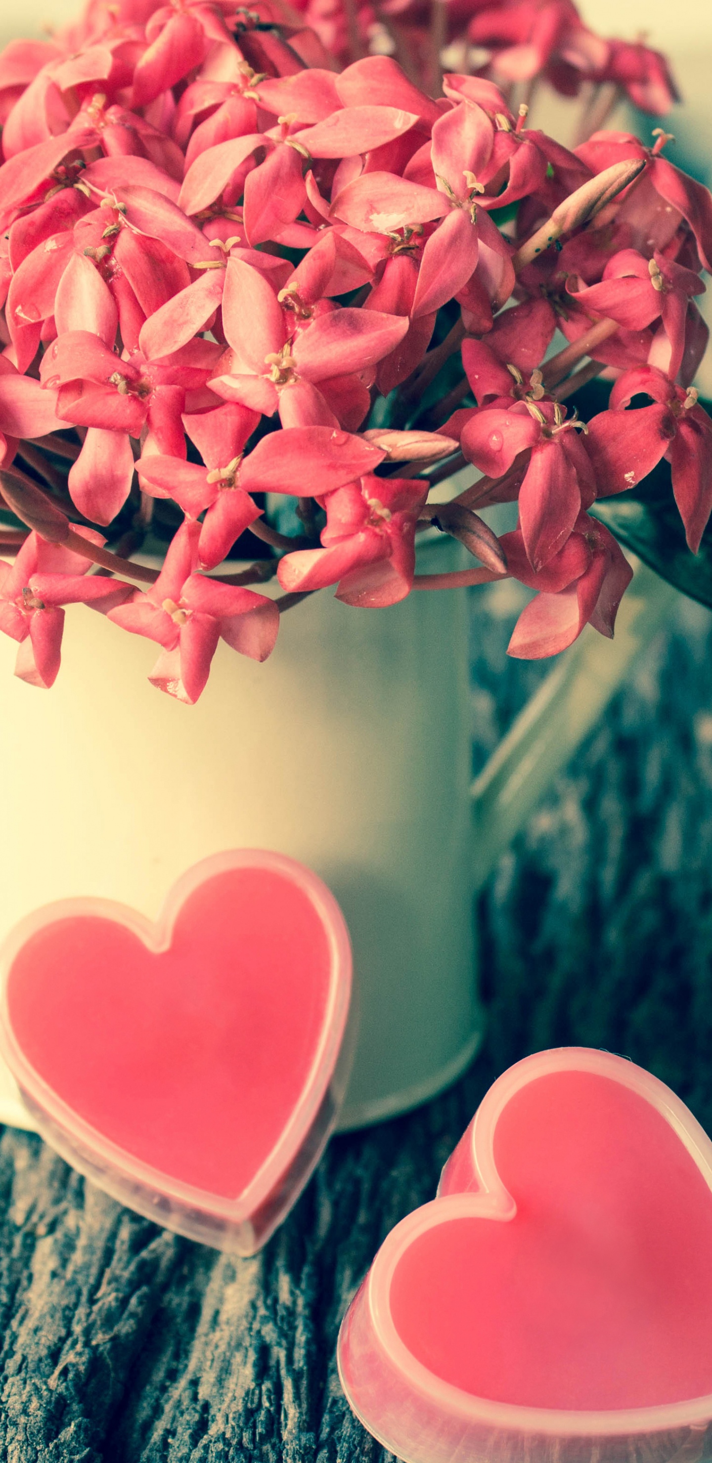 Обои День Святого Валентина, розовый, цветок, любовь, лепесток в разрешении 1440x2960