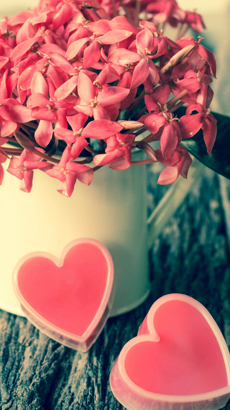 Обои День Святого Валентина, розовый, цветок, любовь, лепесток в разрешении 750x1334