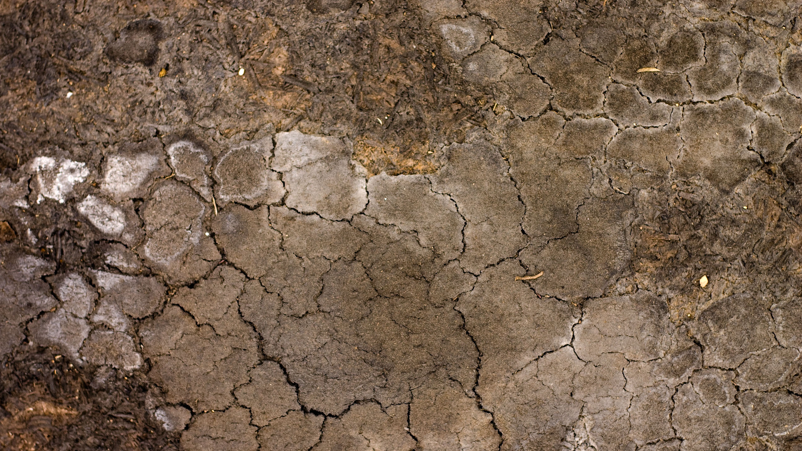 Обои почва, каменная стена, пиксель, стена, геология в разрешении 2560x1440