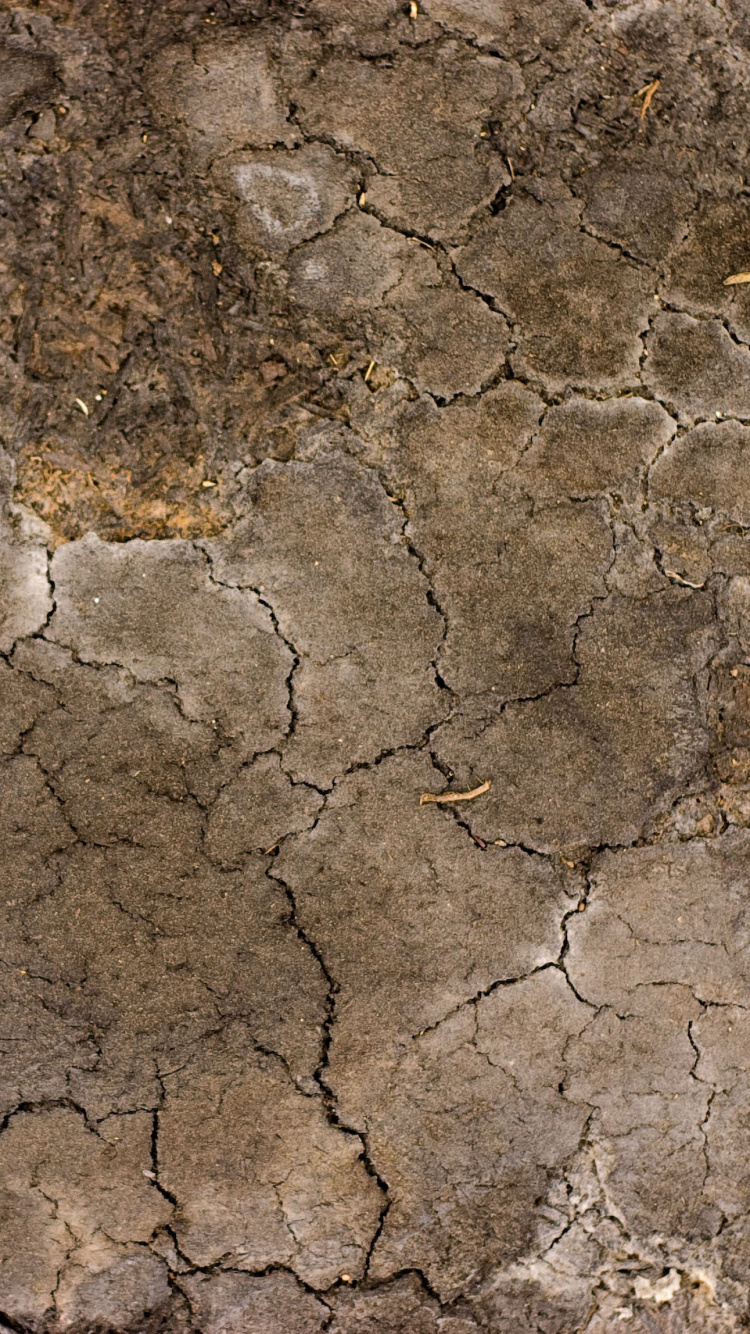 Обои почва, каменная стена, пиксель, стена, геология в разрешении 750x1334