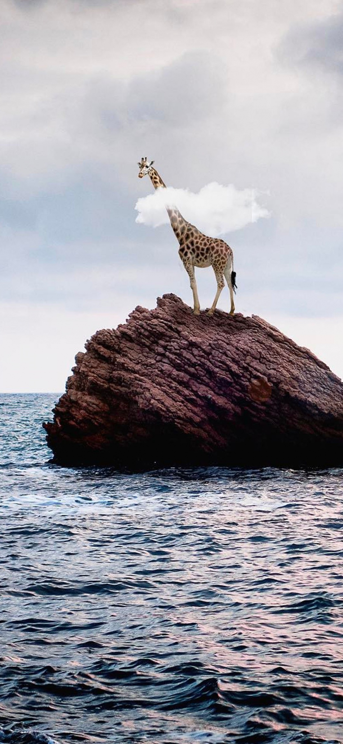 Обои камень на море, вода, море, рок, пляж в разрешении 1125x2436