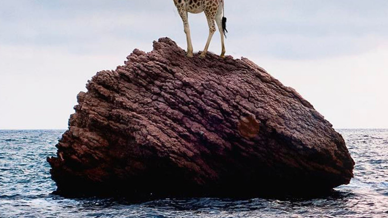 Обои камень на море, вода, море, рок, пляж в разрешении 1280x720