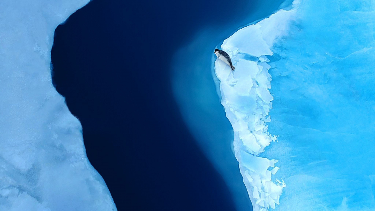 Обои Huawei, Huawei Mate, Huawei Mate XS, складной смартфон, смартфон в разрешении 1280x720