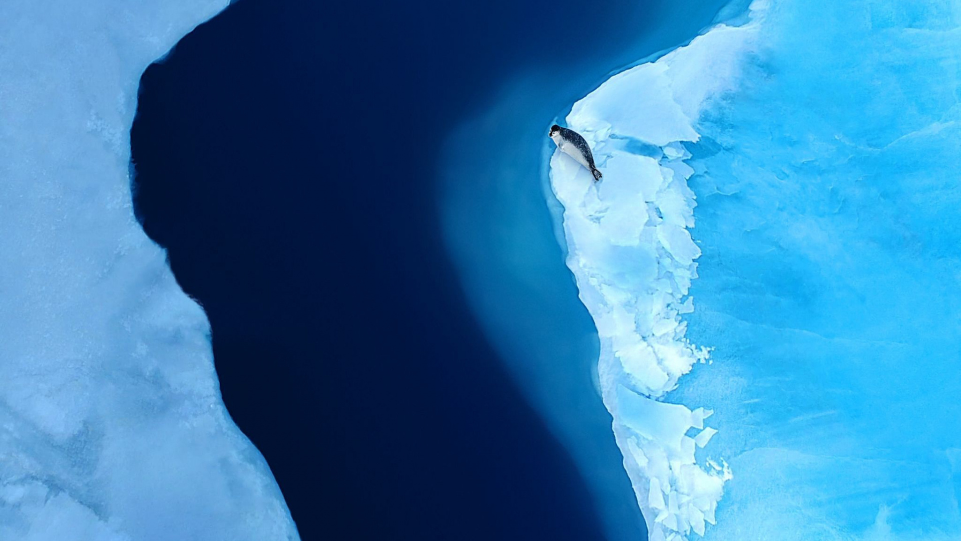 Обои Huawei, Huawei Mate, Huawei Mate XS, складной смартфон, смартфон в разрешении 1920x1080