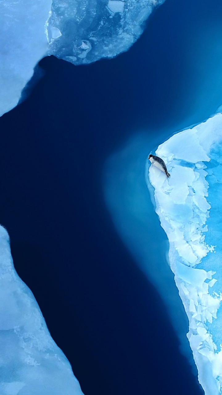 Обои Huawei, Huawei Mate, Huawei Mate XS, складной смартфон, смартфон в разрешении 720x1280