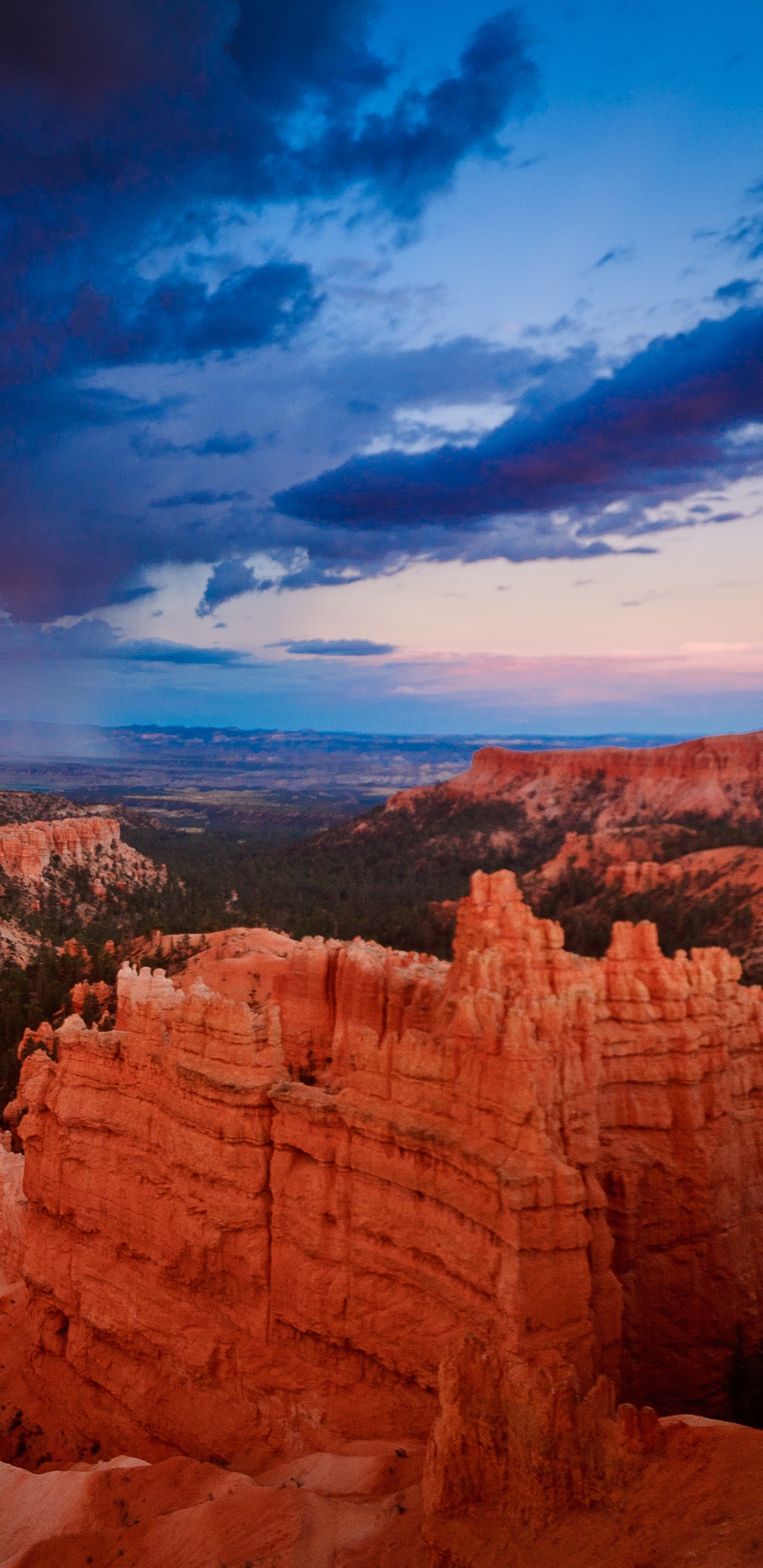 Обои национальный парк Брайсканьон, национальный парк зайон, национальный парк каньонлендс, парк, национальный парк в разрешении 1440x2960