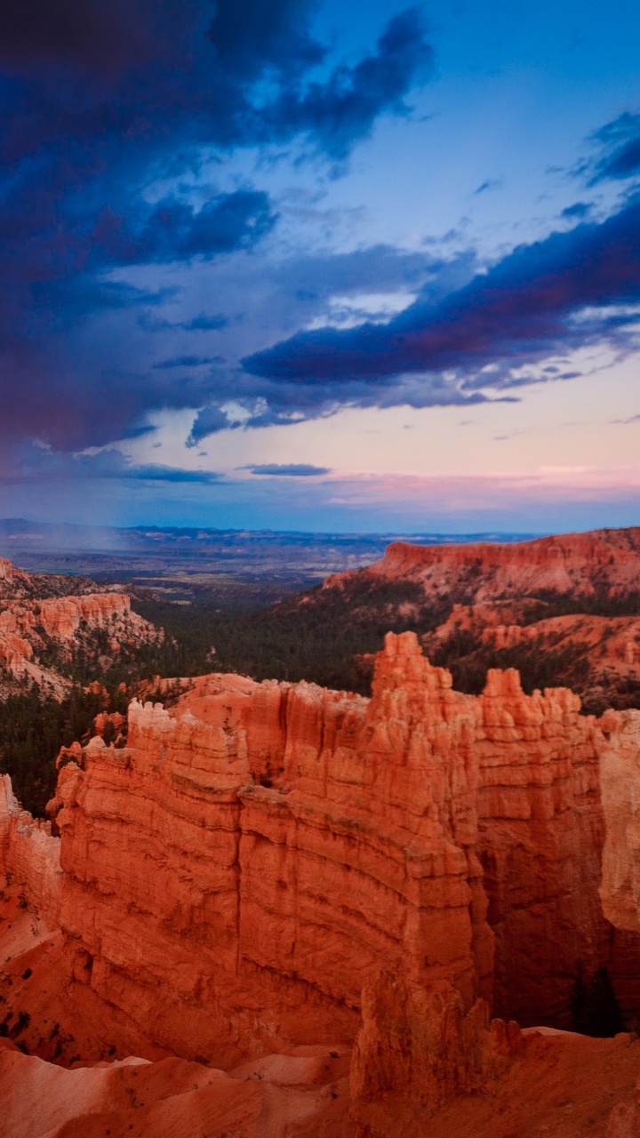 Обои национальный парк Брайсканьон, национальный парк зайон, национальный парк каньонлендс, парк, национальный парк в разрешении 720x1280