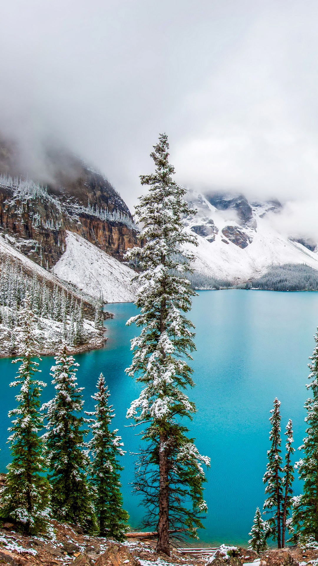 Обои моренное озеро, парк, зима, природа, дерево в разрешении 1080x1920