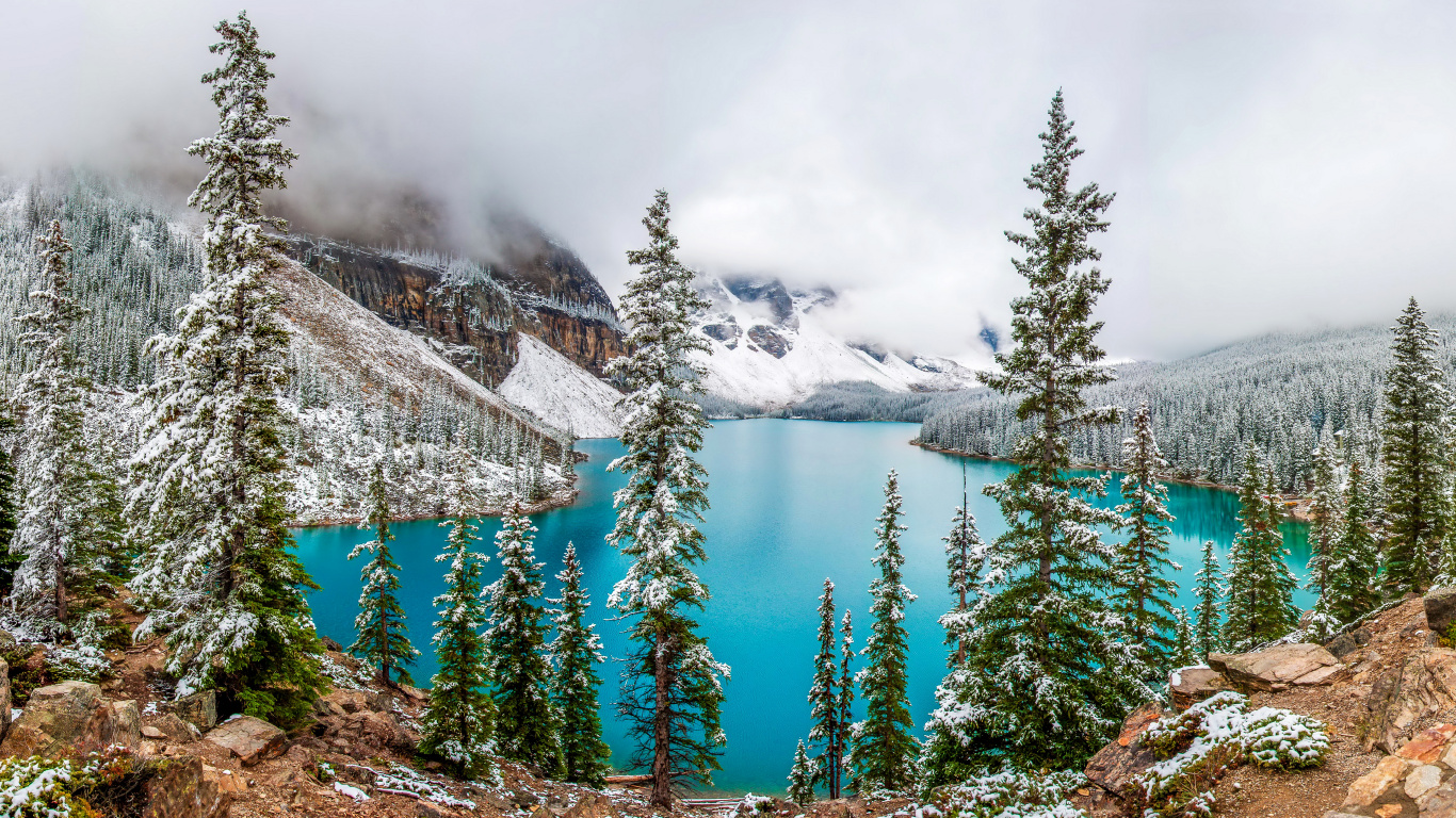 Обои моренное озеро, парк, зима, природа, дерево в разрешении 1366x768