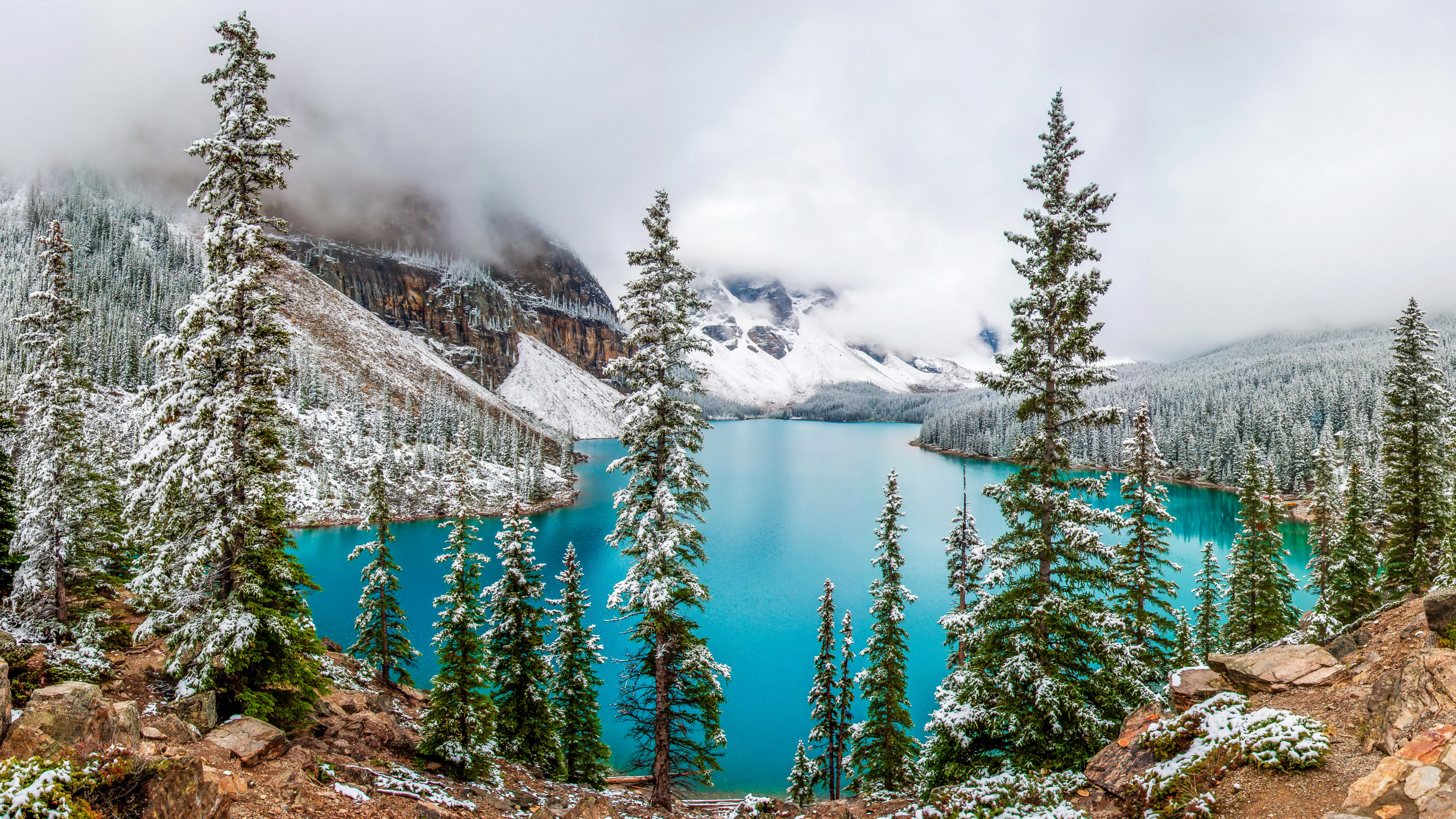 Обои моренное озеро, парк, зима, природа, дерево в разрешении 2560x1440