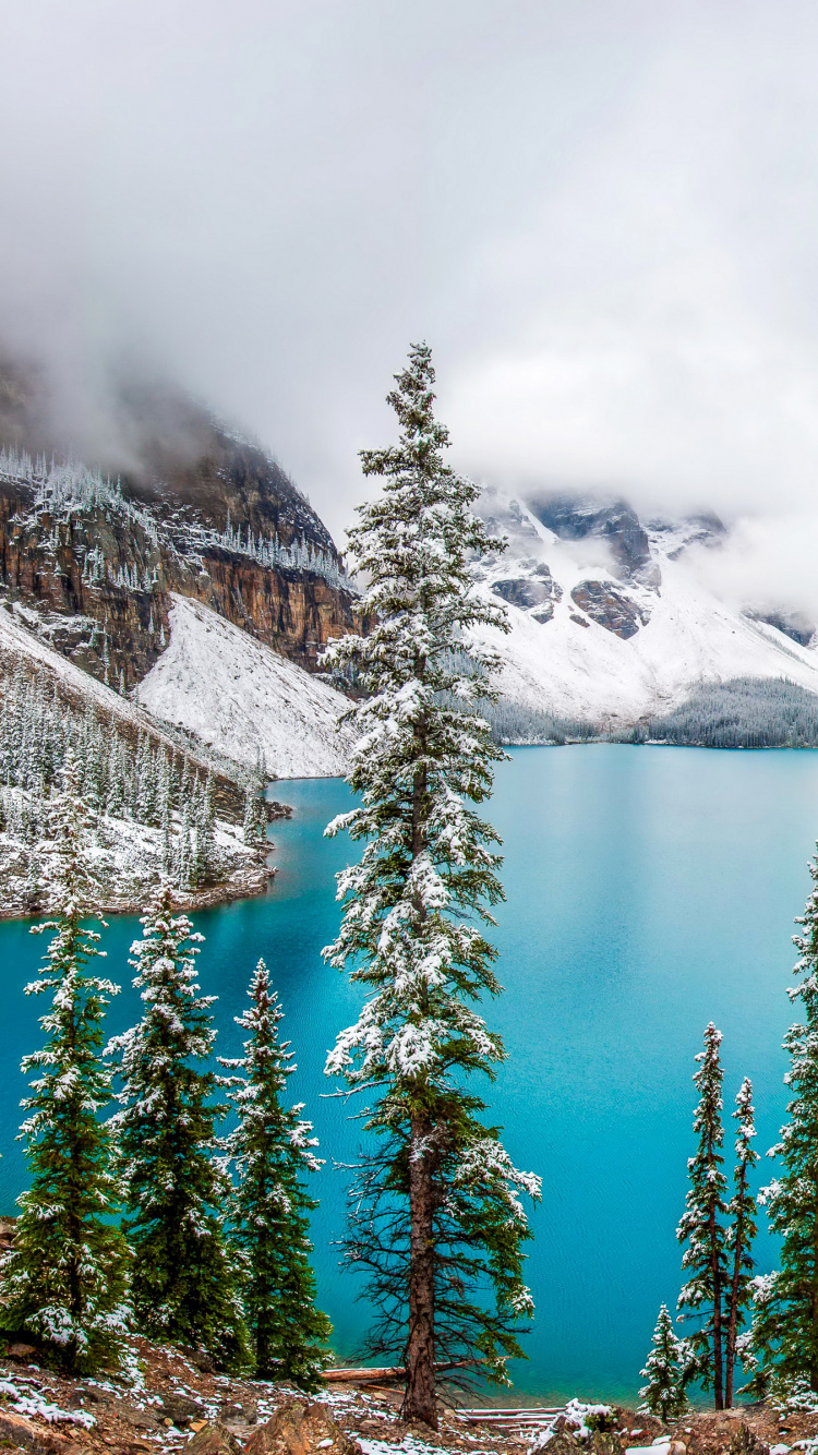 Обои моренное озеро, парк, зима, природа, дерево в разрешении 750x1334