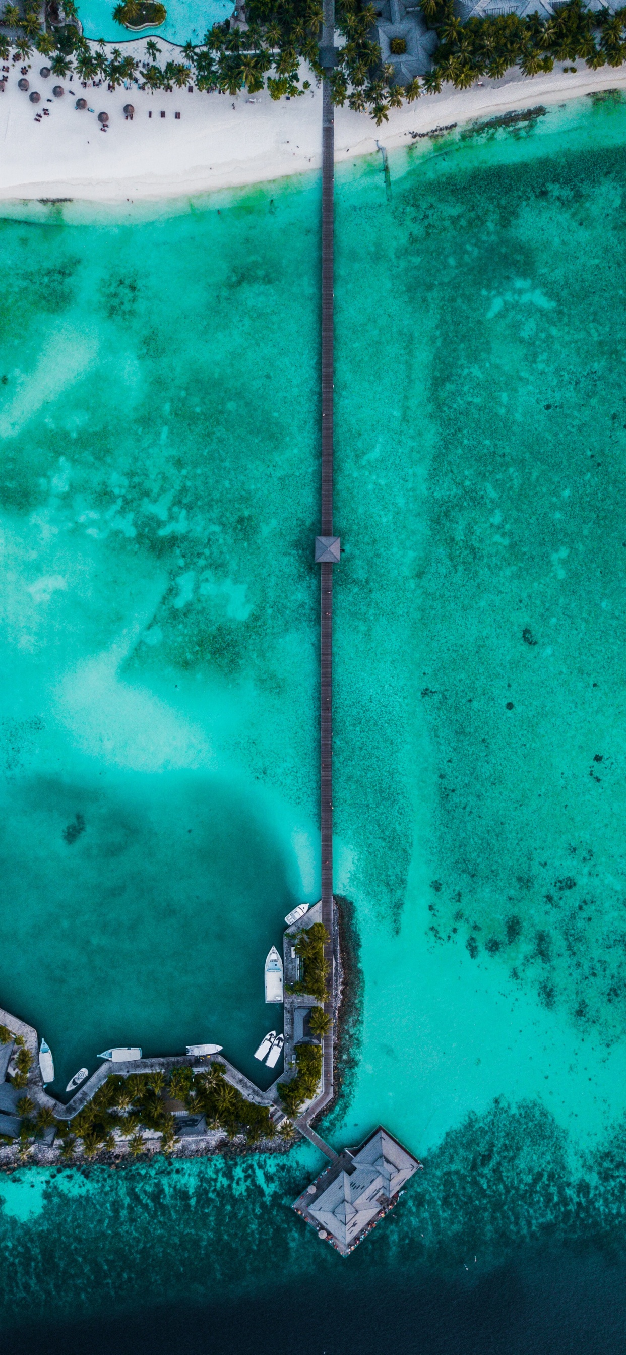 Обои Аква, Furaveri, море, Райский Остров Мальдивы, бирюза в разрешении 1242x2688