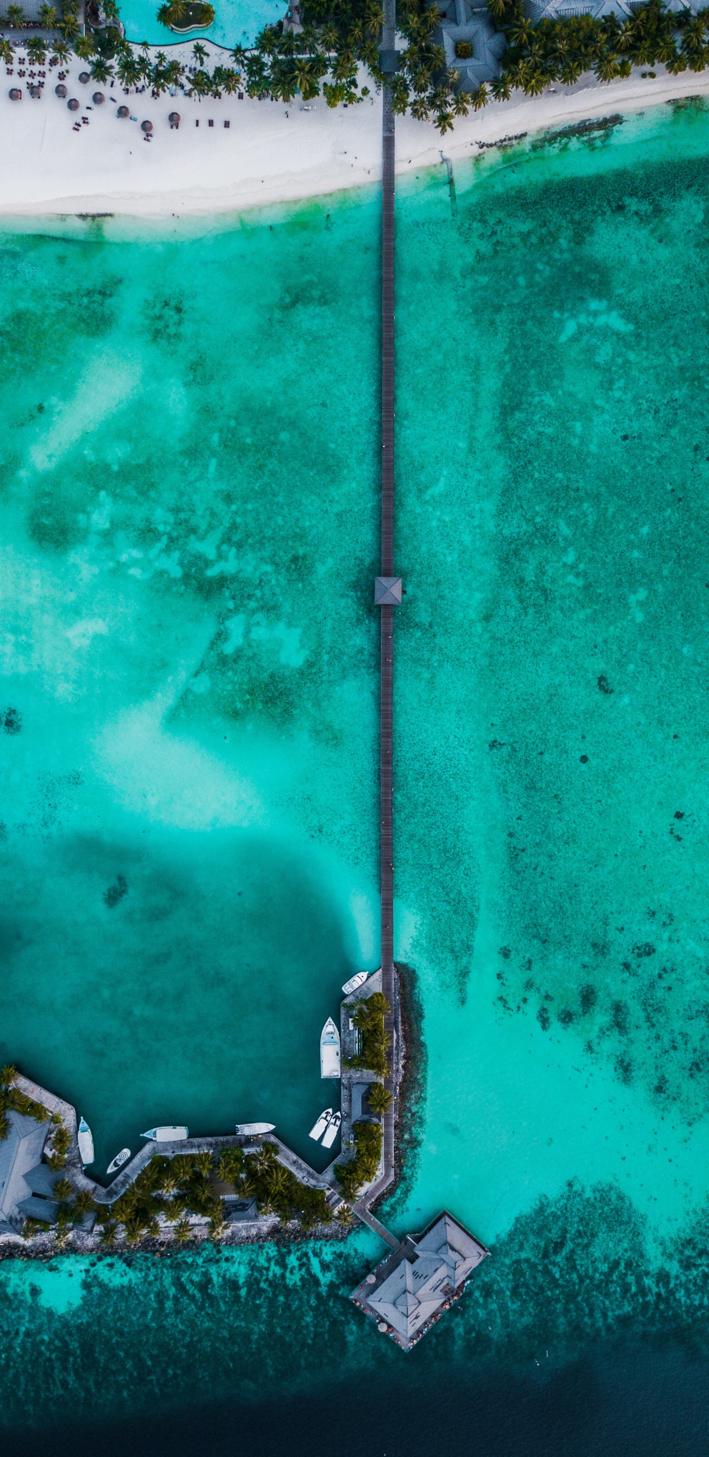 Обои Аква, Furaveri, море, Райский Остров Мальдивы, бирюза в разрешении 1440x2960