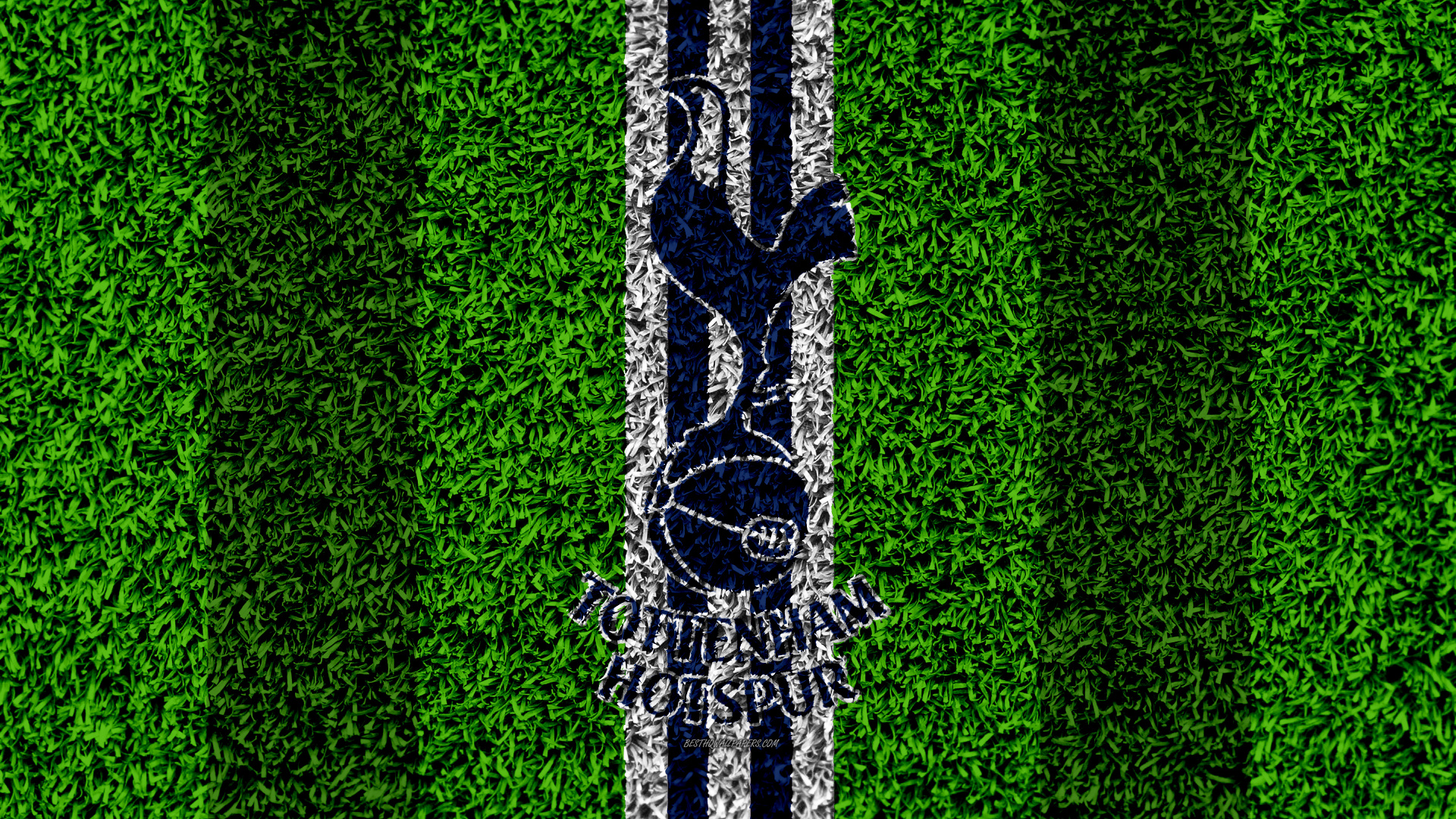 Обои зеленый, дерево, линия, семейство травы, растение в разрешении 1920x1080