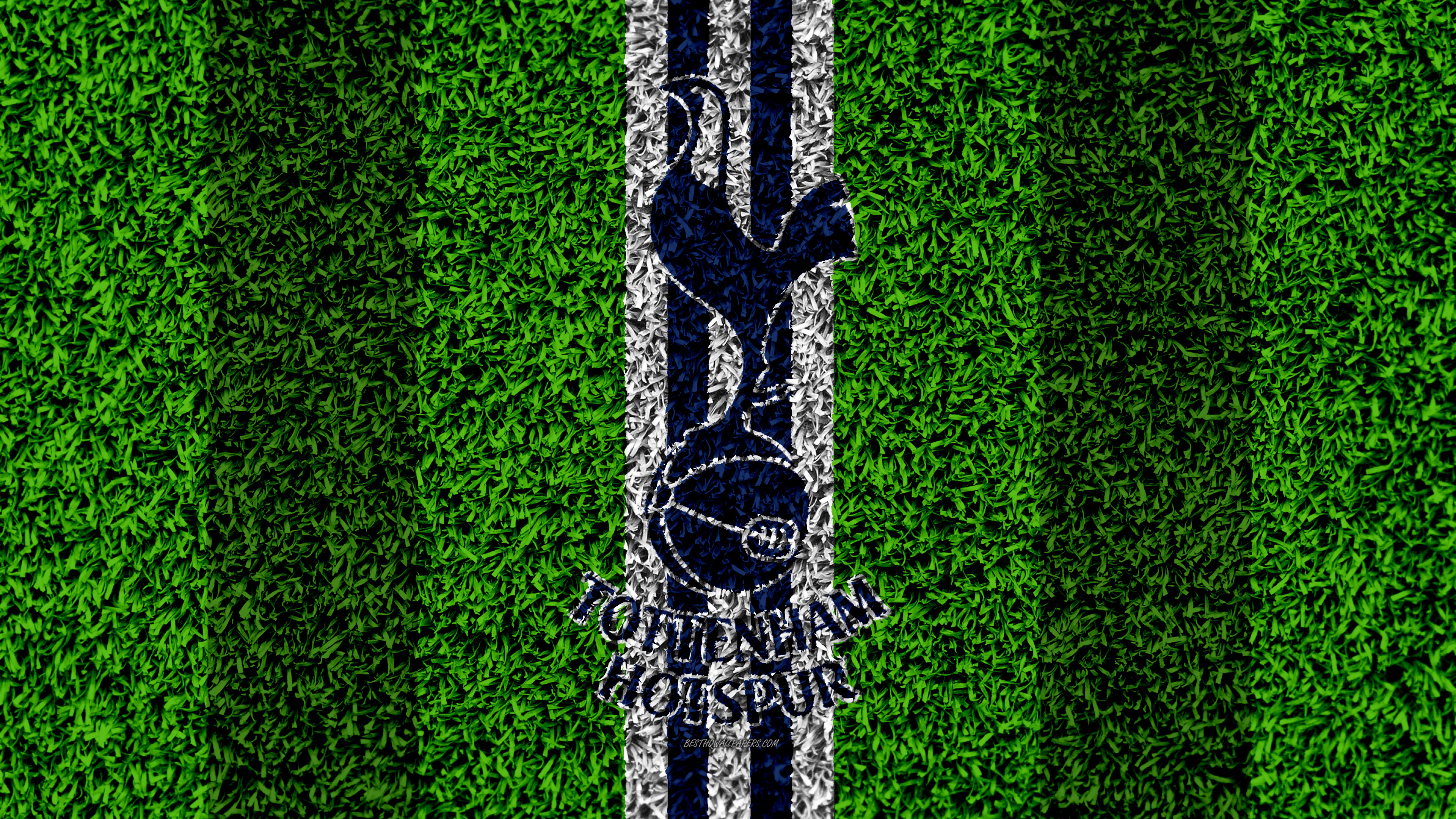 Обои зеленый, дерево, линия, семейство травы, растение в разрешении 3840x2160