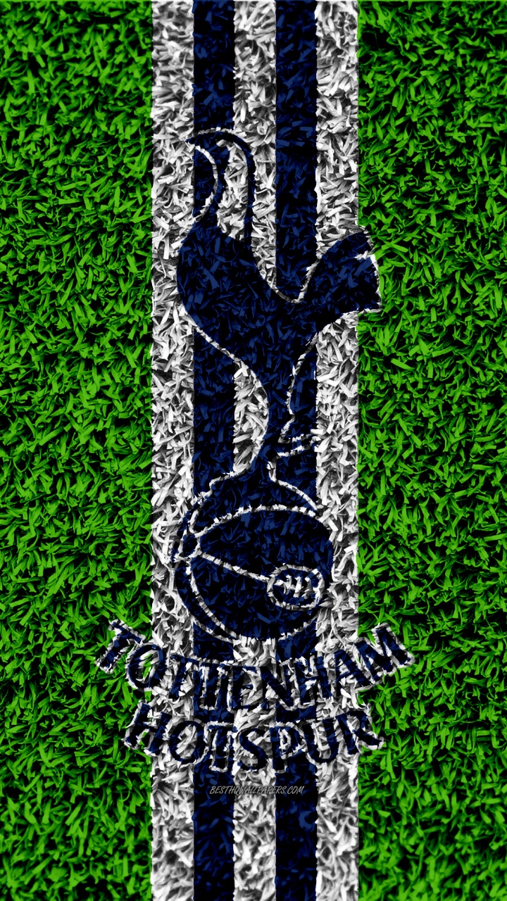 Обои зеленый, дерево, линия, семейство травы, растение в разрешении 720x1280