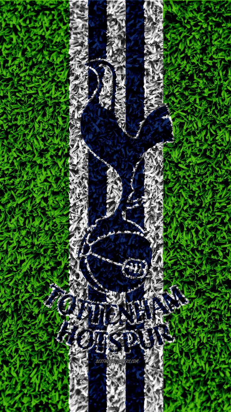 Обои зеленый, дерево, линия, семейство травы, растение в разрешении 750x1334