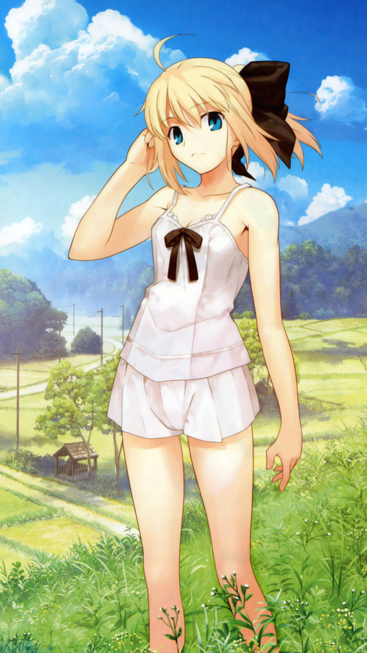 Обои сабля, Илия фон айнцберн, Судьба неограниченное коды, эмия Широ, аниме в разрешении 750x1334