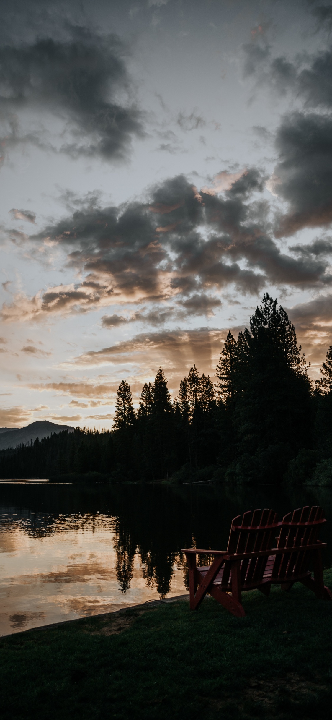 Обои природа, облако, вода, дерево, отражение в разрешении 1125x2436