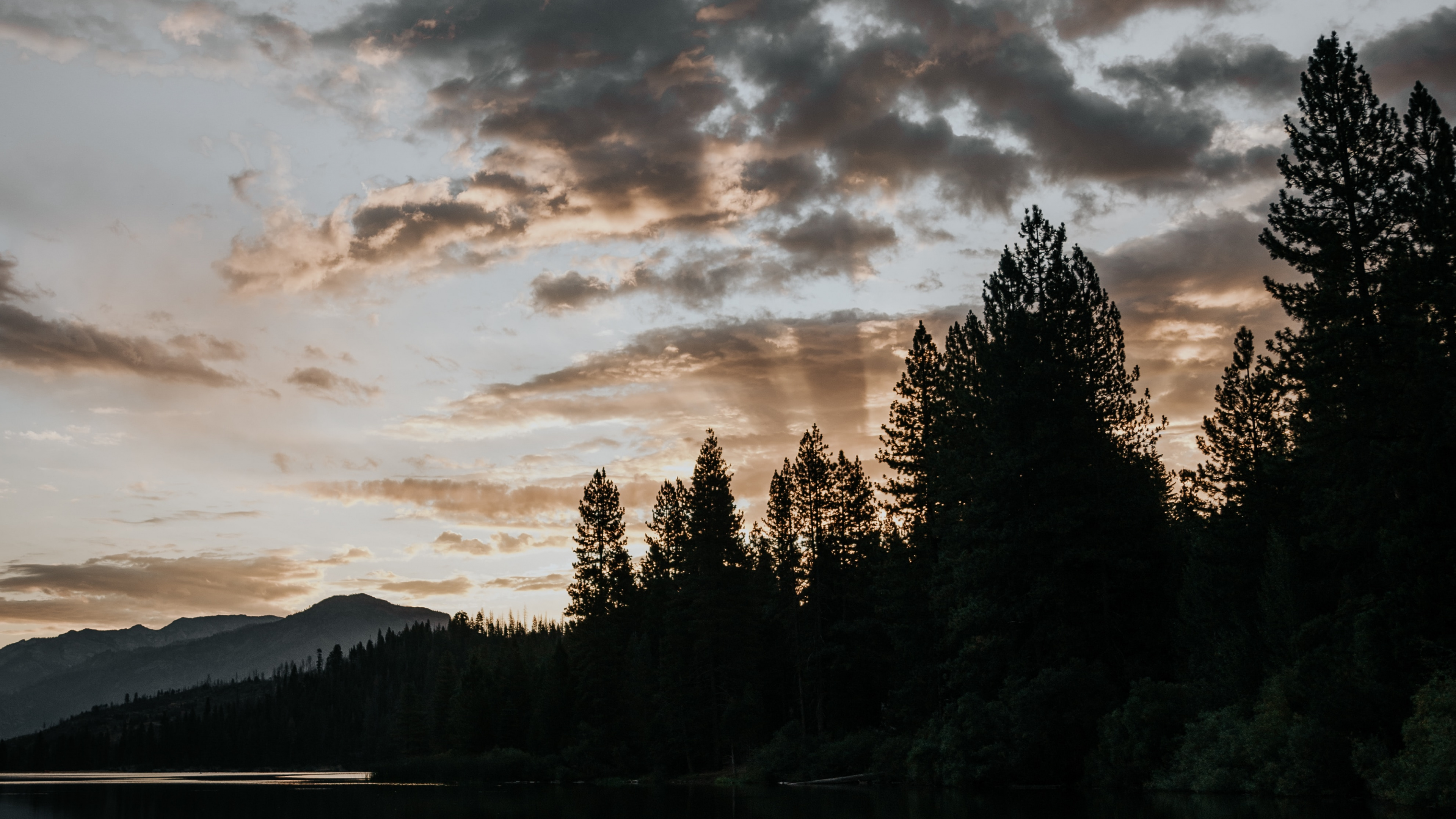 Обои природа, облако, вода, дерево, отражение в разрешении 3840x2160