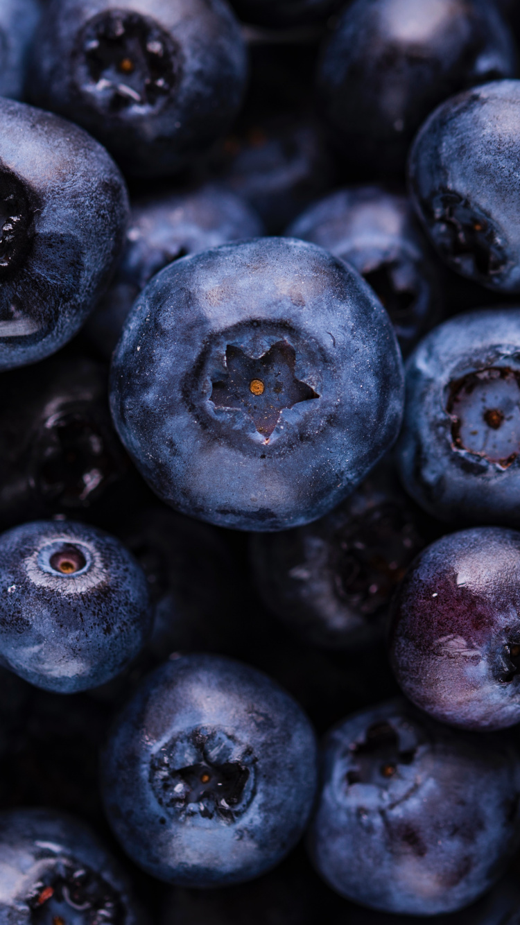 Обои Черника, фрукты, ягоды, суперфуд, растение в разрешении 750x1334