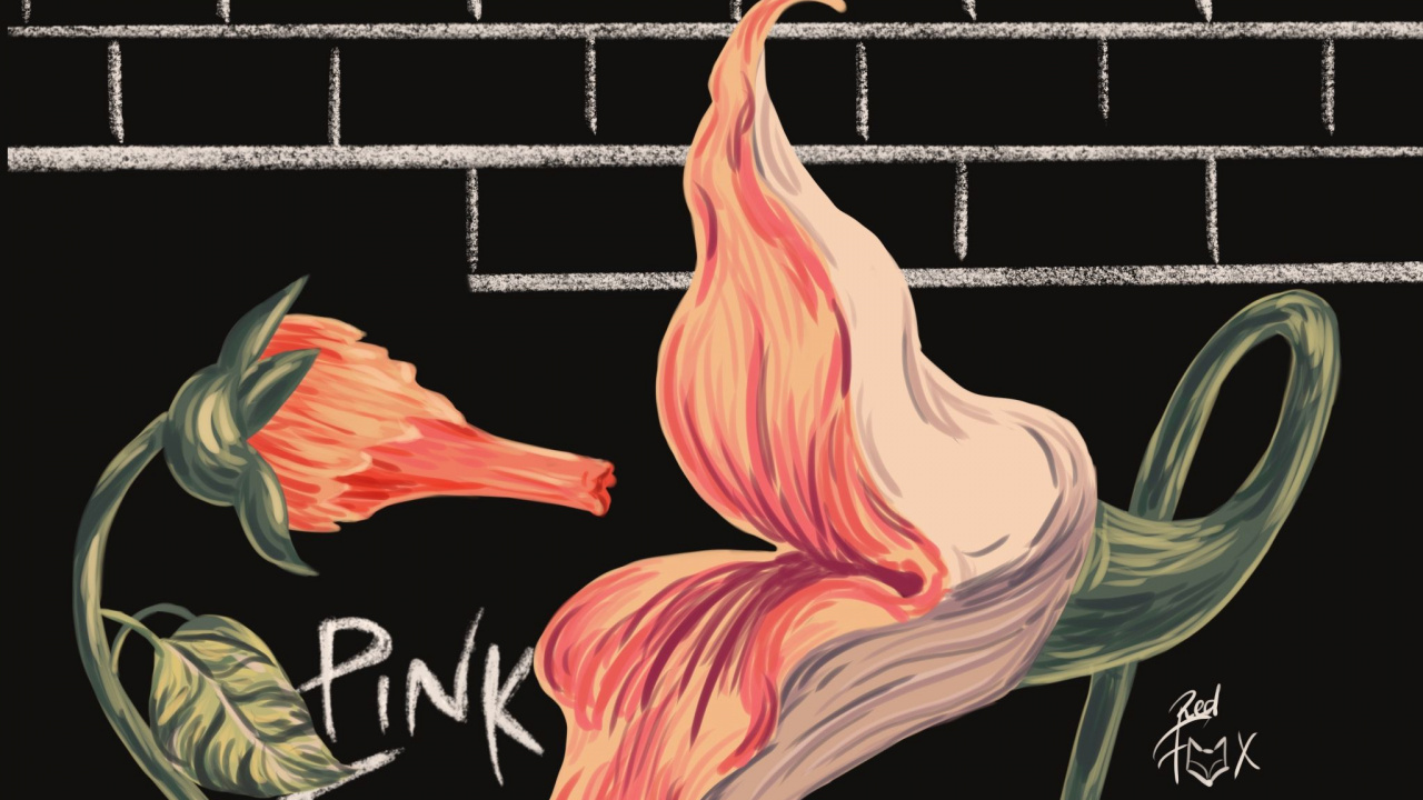 Обои Pink Floyd, Берлинская стена, пустые помещения, Что Же Нам Теперь Делать, цветок в разрешении 1280x720