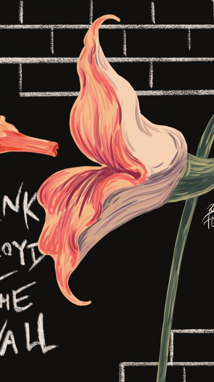 Обои Pink Floyd, Берлинская стена, пустые помещения, Что Же Нам Теперь Делать, цветок в разрешении 720x1280